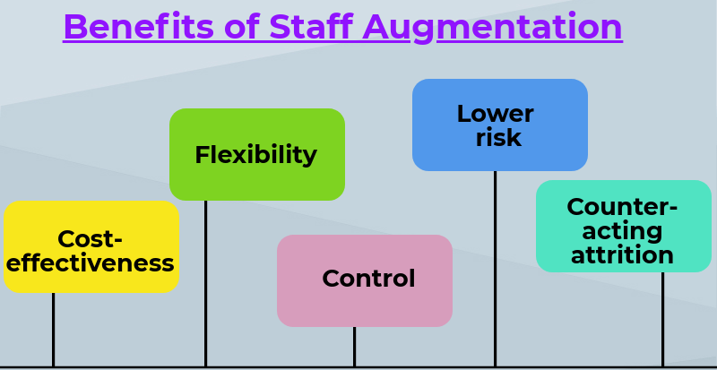 staff augmentation and conulting service